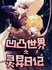 深入了解 今日看料官网入口